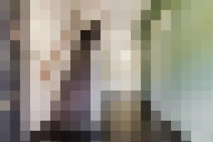 Koninginnestraat 74 Breda thumbnail 8