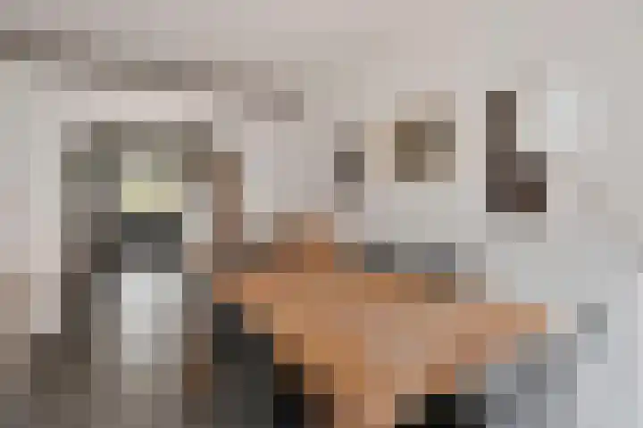 Koninginnestraat 9 Westdorpe thumbnail 10