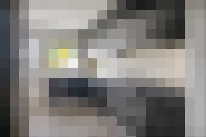 Koninginnestraat 9 Westdorpe thumbnail 13