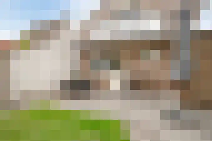 Koninginnestraat 9 Westdorpe thumbnail 25