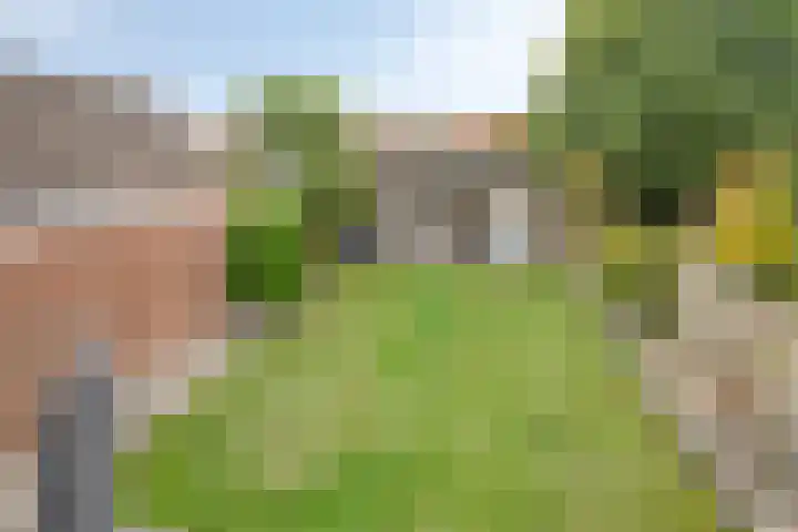 Koninginnestraat 9 Westdorpe thumbnail 26
