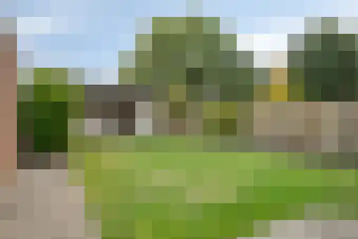 Koninginnestraat 9 Westdorpe thumbnail 28