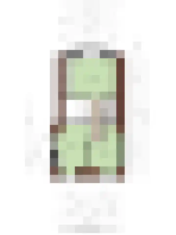 Koninginnestraat 9 Westdorpe thumbnail 32