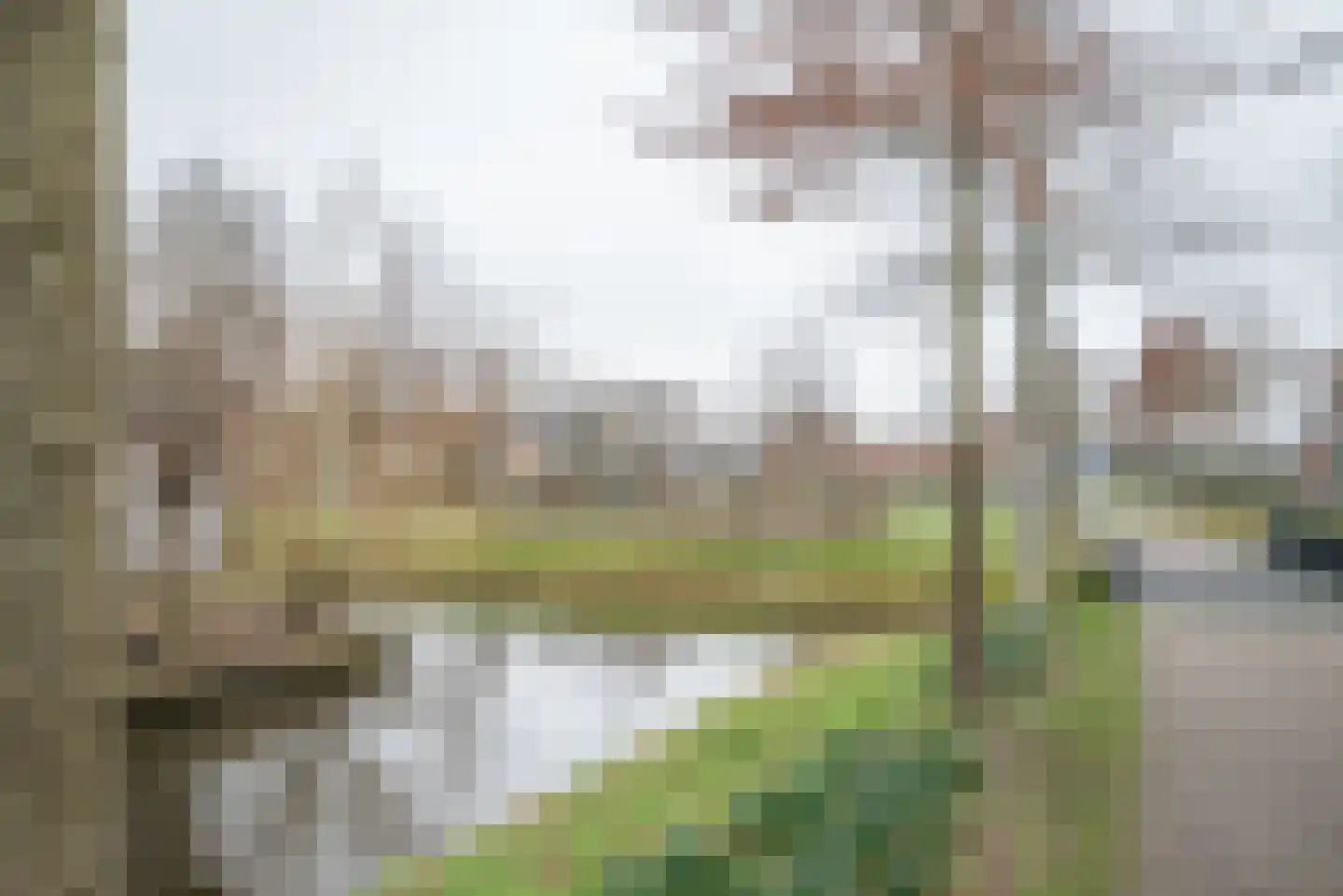 Koninginnetuin 11 Bleiswijk thumbnail 31