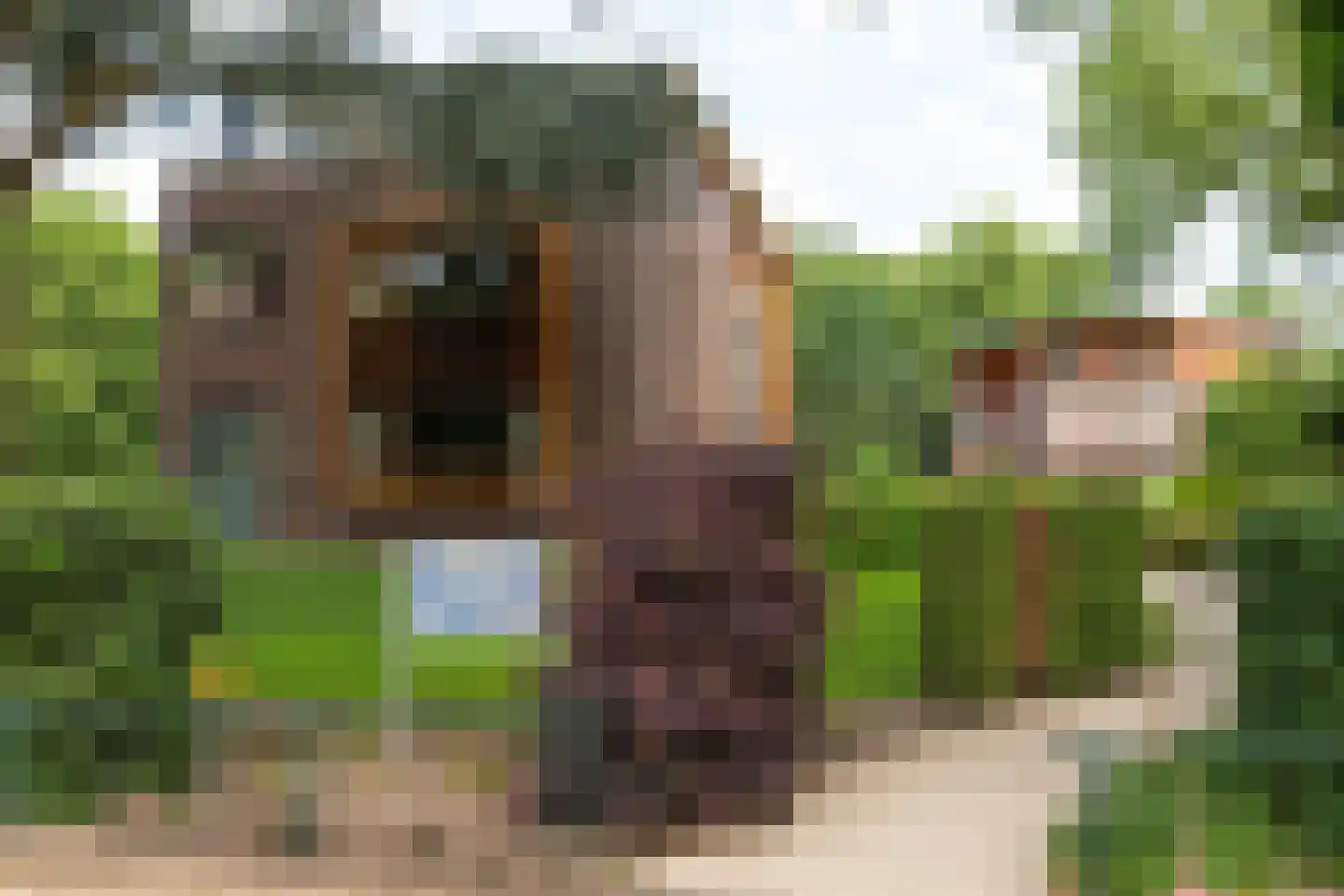 Koninginneweg 1 C Hilversum thumbnail 16