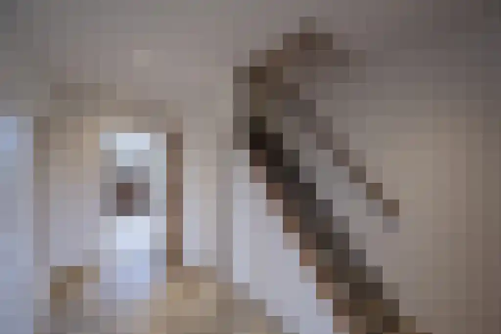 Koninginneweg 1 Zuid-Beijerland thumbnail 13