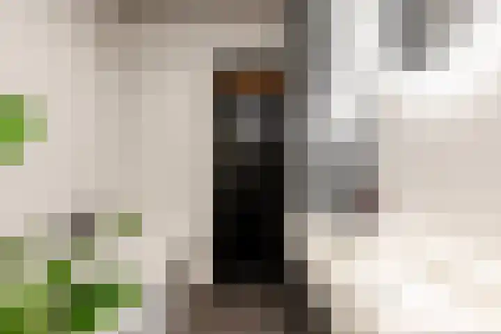 Koninginneweg 10 A Haarlem thumbnail 20