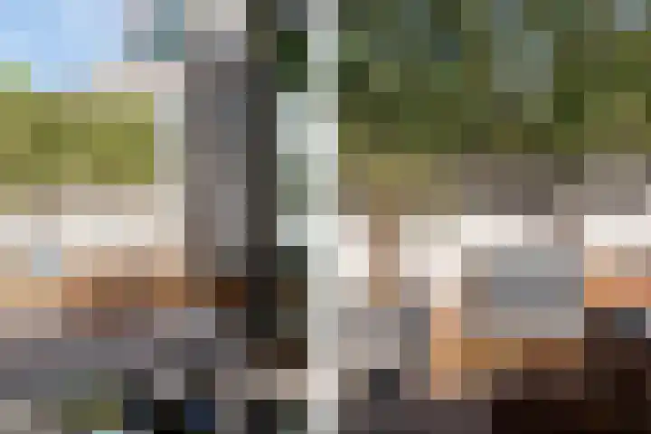 Koninginneweg 10 A Haarlem thumbnail 25