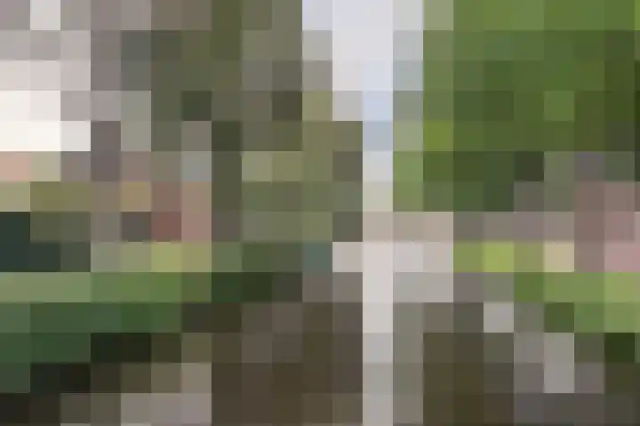 Koninginneweg 10 A Haarlem thumbnail 34
