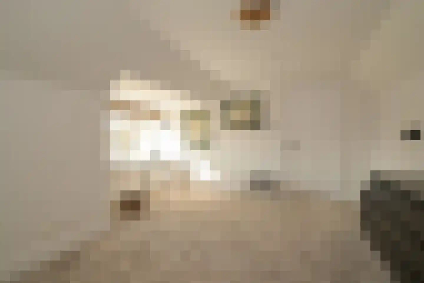 Koninginneweg 10 Wassenaar thumbnail 24