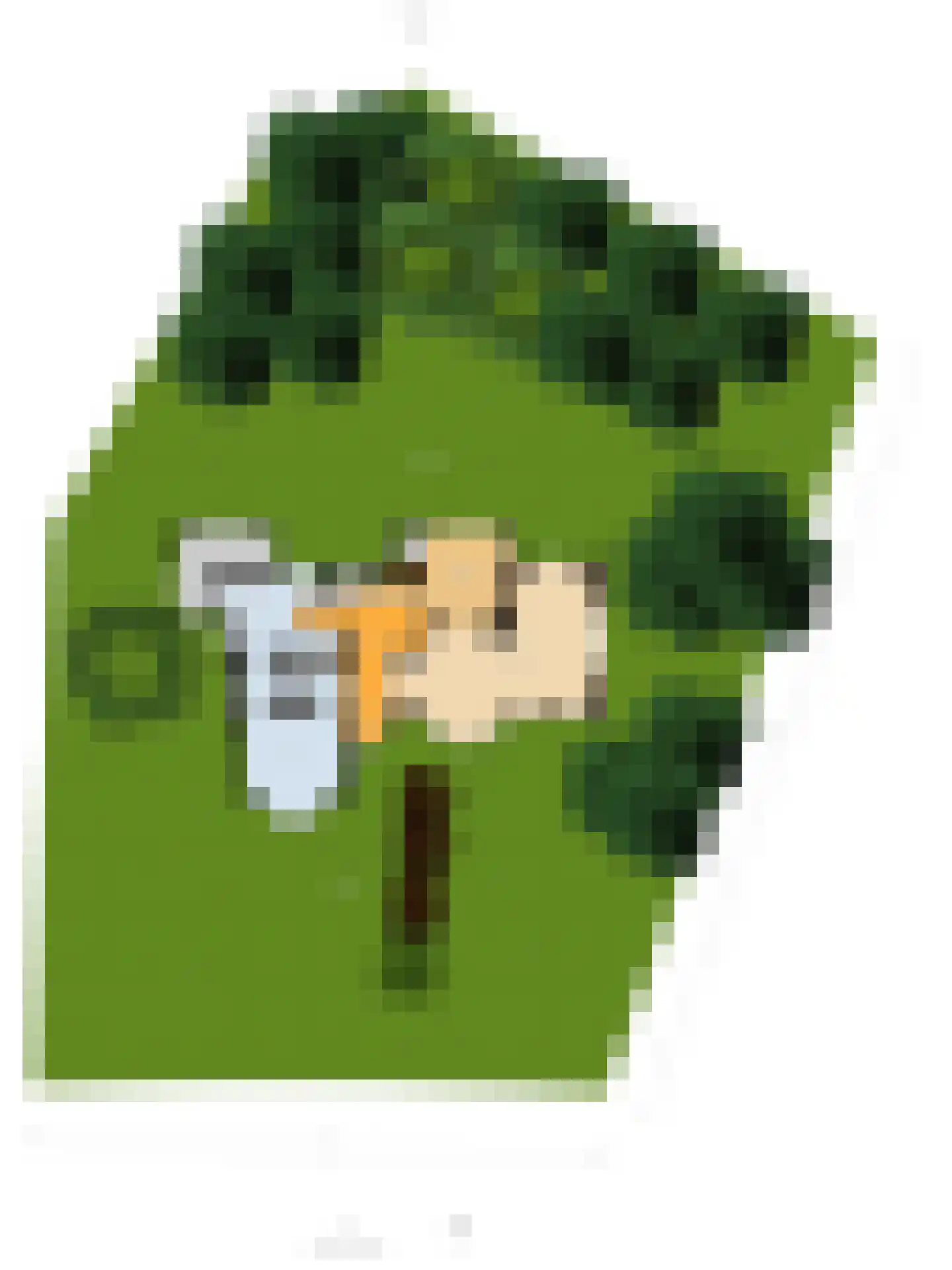 Koninginneweg 10 Wassenaar thumbnail 34