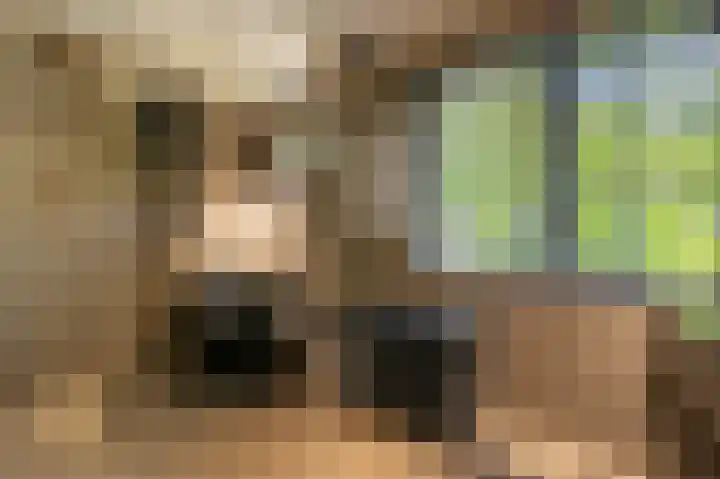 Koninginneweg 106 Oud-Beijerland thumbnail 34