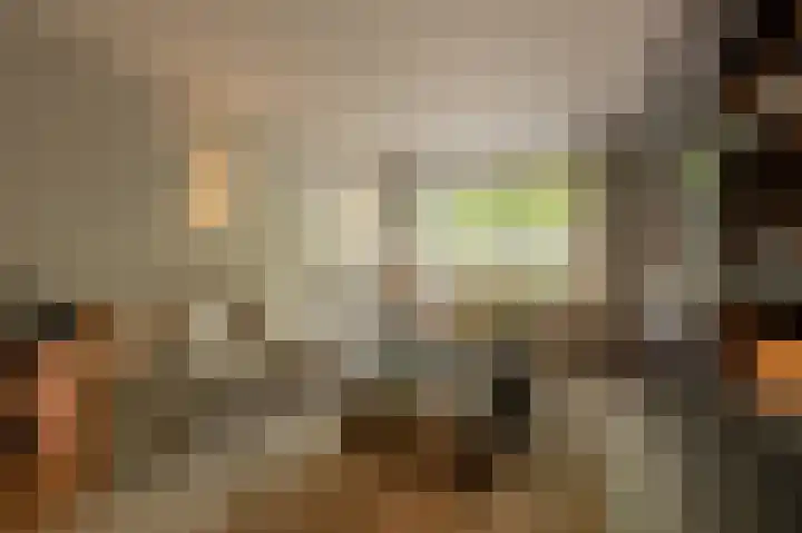 Koninginneweg 106 Oud-Beijerland thumbnail 4