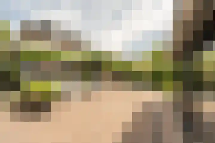 Koninginneweg 106 Oud-Beijerland thumbnail 44