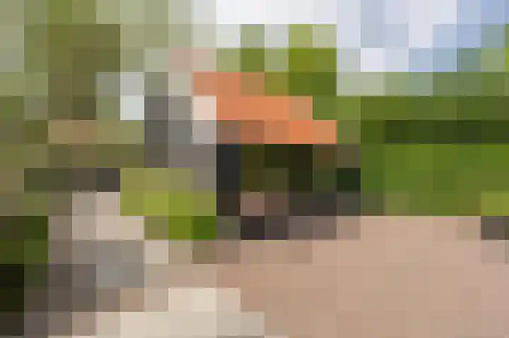 Koninginneweg 106 Oud-Beijerland thumbnail 46