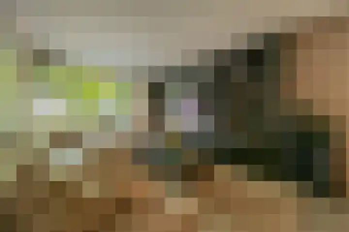 Koninginneweg 106 Oud-Beijerland thumbnail 5