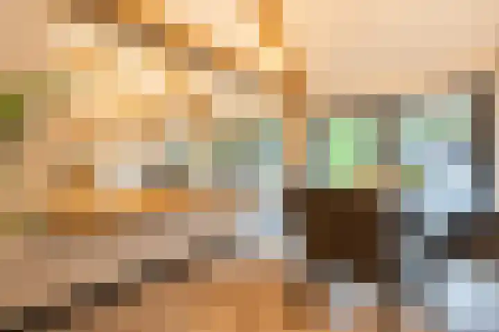 Koninginneweg 106 Oud-Beijerland thumbnail 51