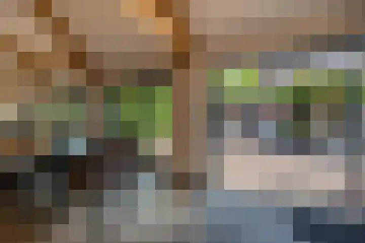 Koninginneweg 106 Oud-Beijerland thumbnail 52