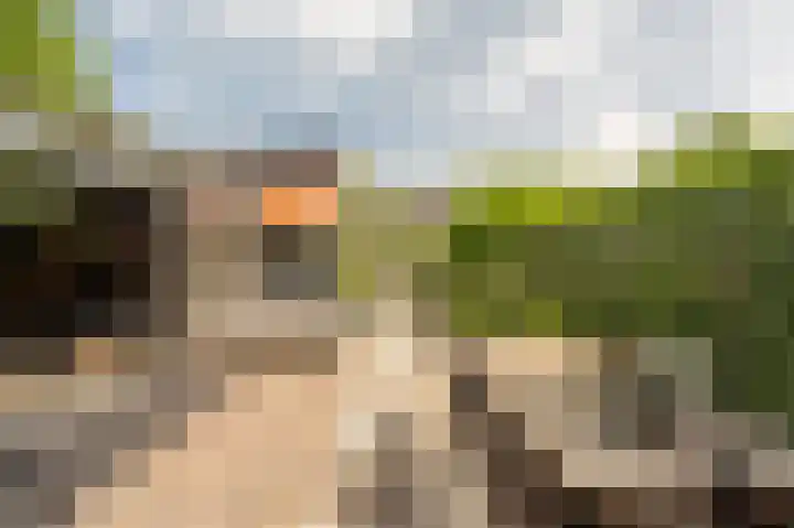Koninginneweg 106 Oud-Beijerland thumbnail 55