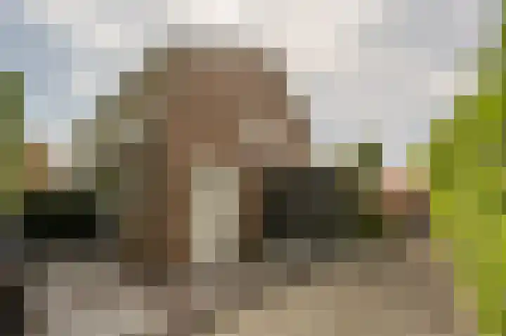 Koninginneweg 106 Oud-Beijerland thumbnail 68