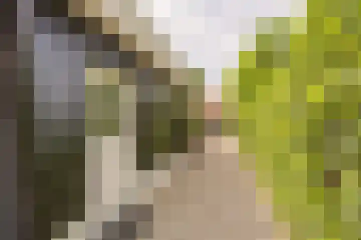 Koninginneweg 106 Oud-Beijerland thumbnail 69