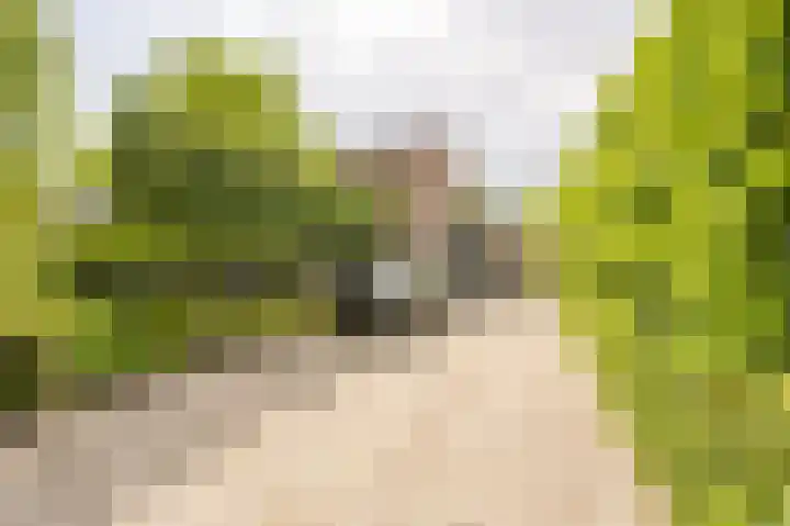 Koninginneweg 106 Oud-Beijerland thumbnail 70
