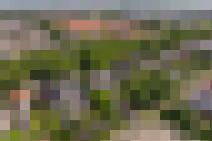 Koninginneweg 106 Oud-Beijerland thumbnail 72