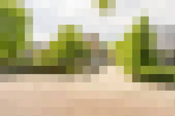 Koninginneweg 106 Oud-Beijerland thumbnail 79