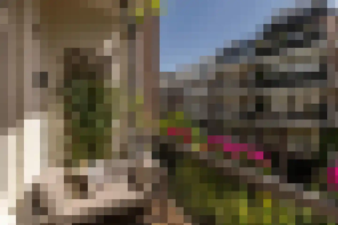 Koninginneweg 117 2 Amsterdam thumbnail 17