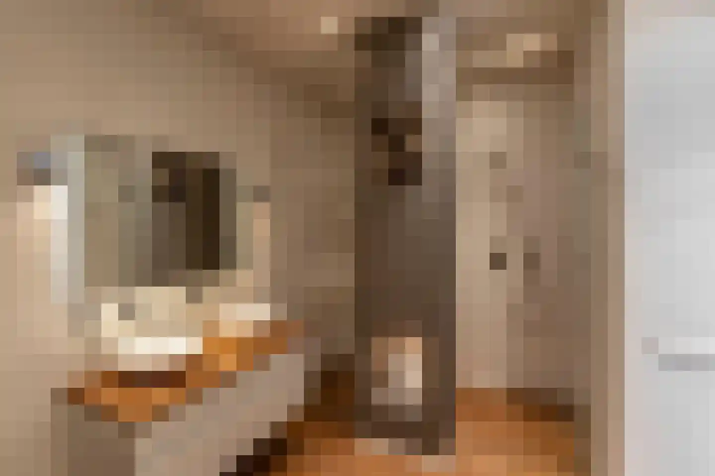 Koninginneweg 117 2 Amsterdam thumbnail 30