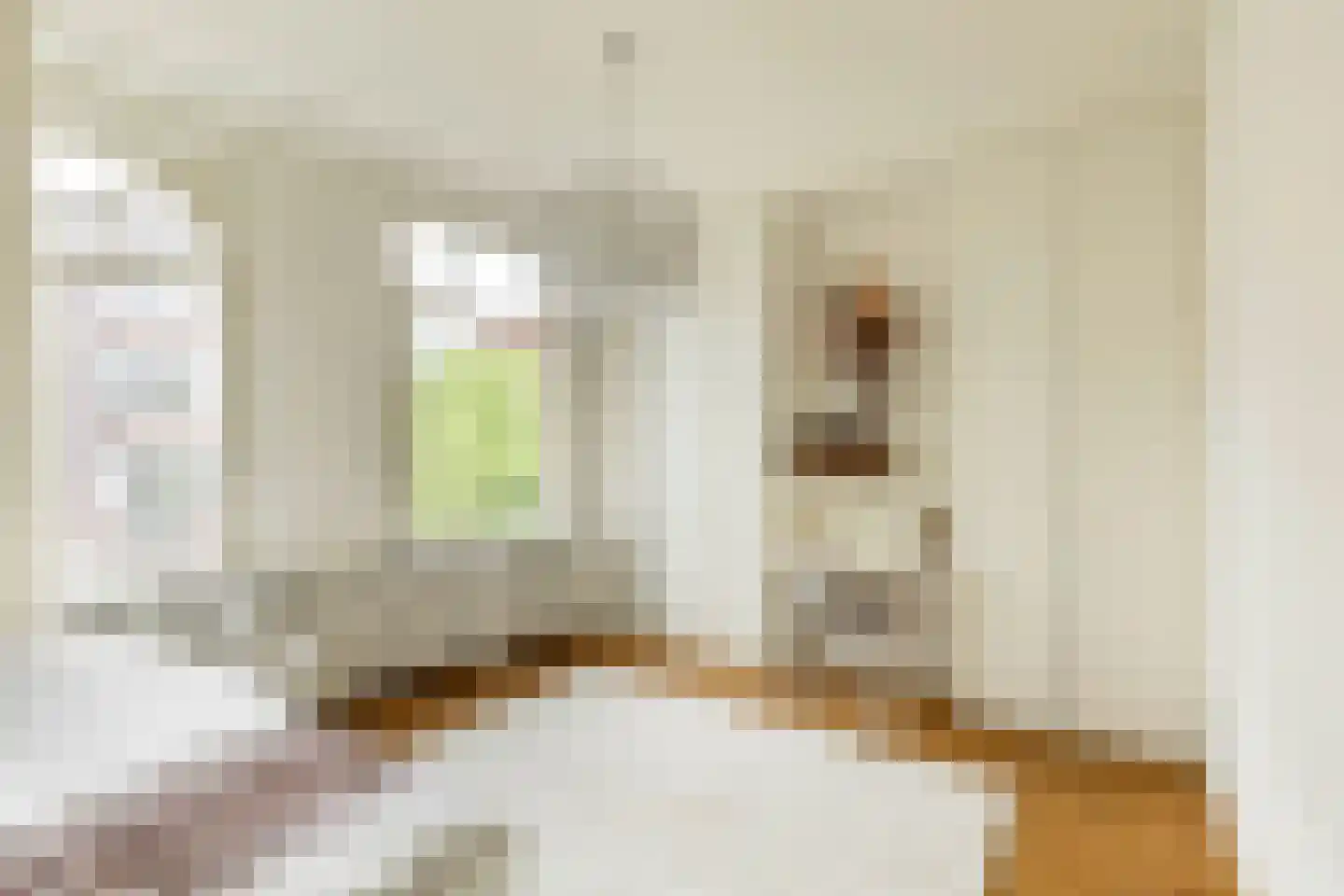 Koninginneweg 117 2 Amsterdam thumbnail 32