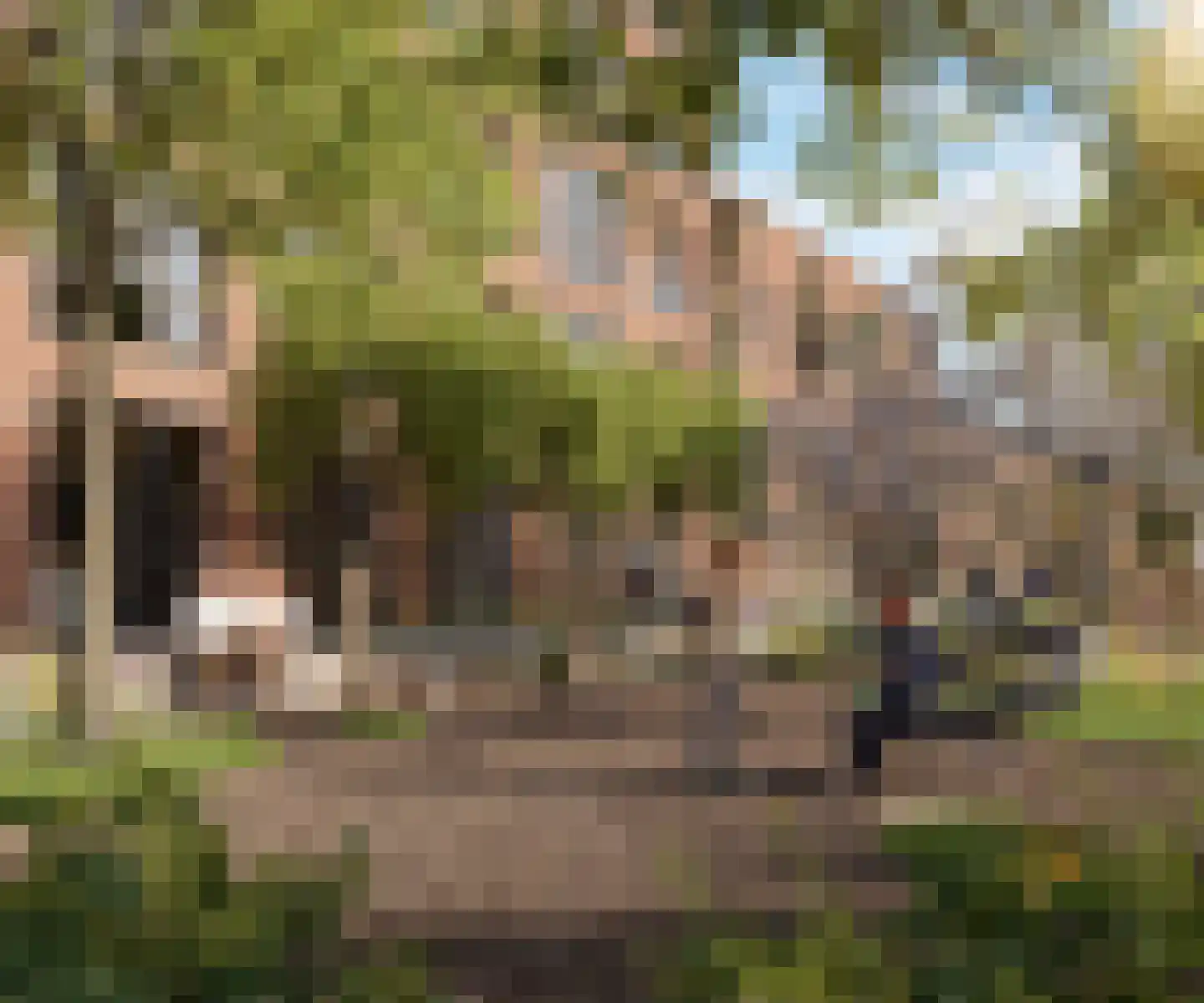Koninginneweg 117 Zwijndrecht thumbnail 6