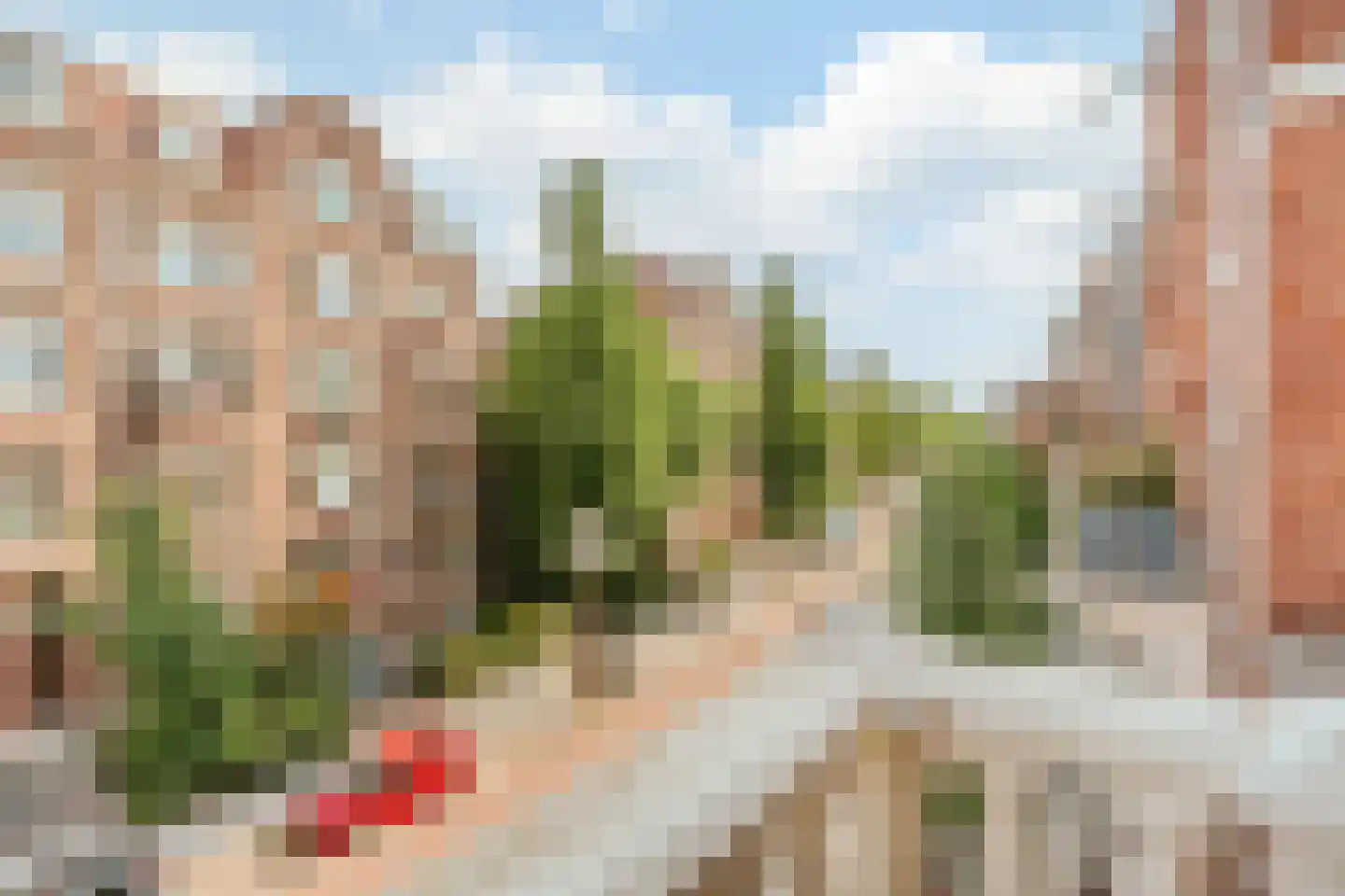 Koninginneweg 119 2 Amsterdam thumbnail 10