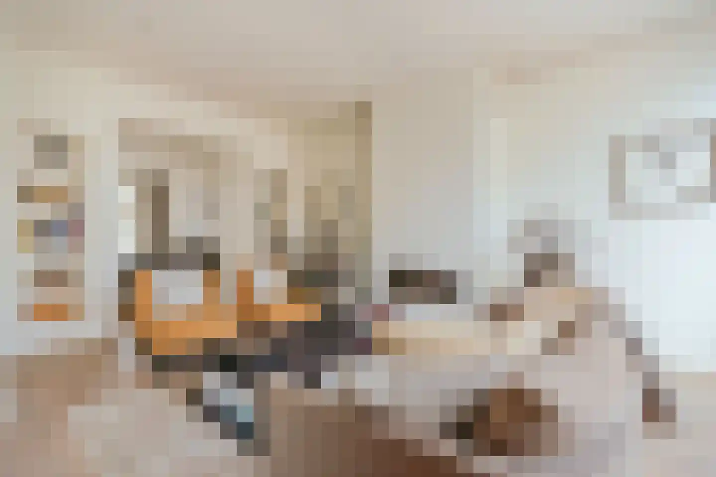 Koninginneweg 119 2 Amsterdam thumbnail 8