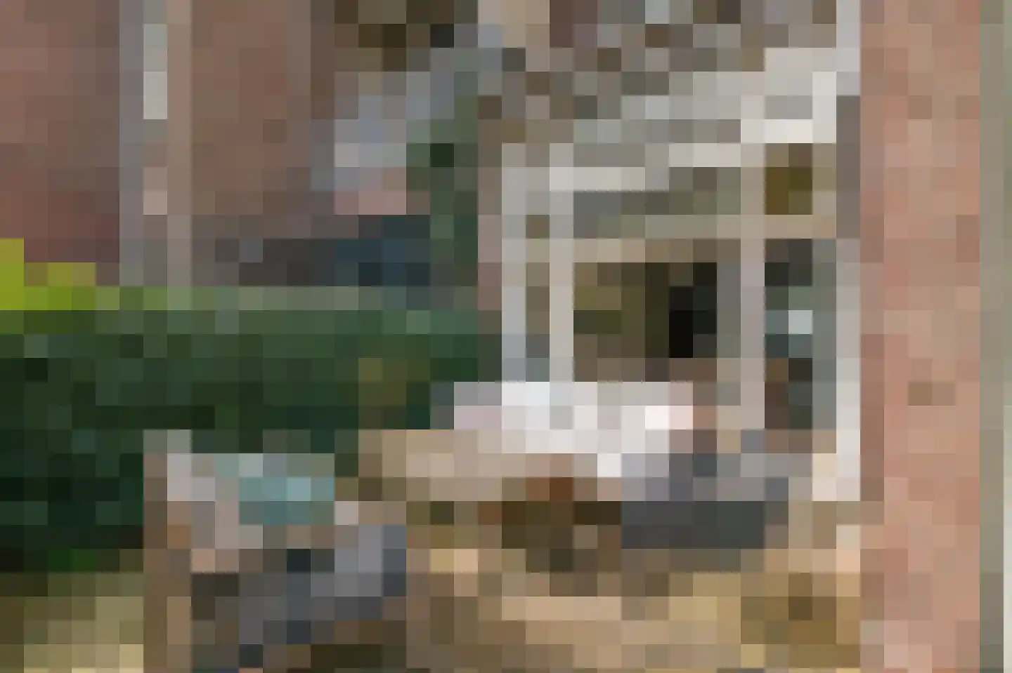 Koninginneweg 127 2 Amsterdam thumbnail 10