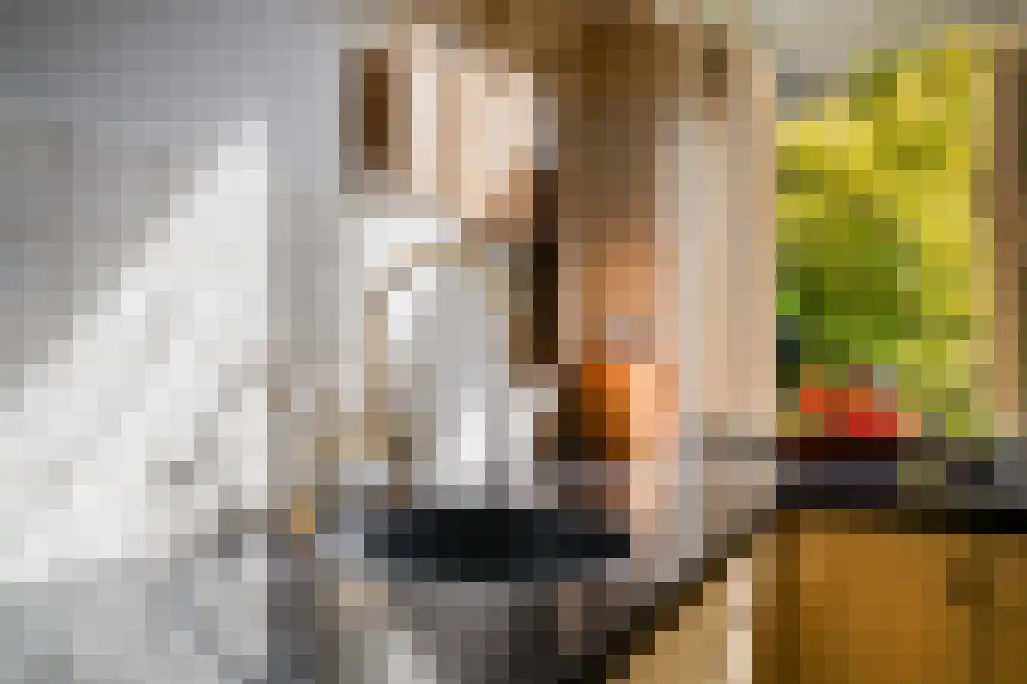 Koninginneweg 127 H Amsterdam thumbnail 17