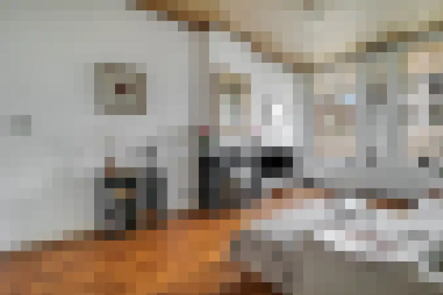Koninginneweg 127 H Amsterdam thumbnail 4