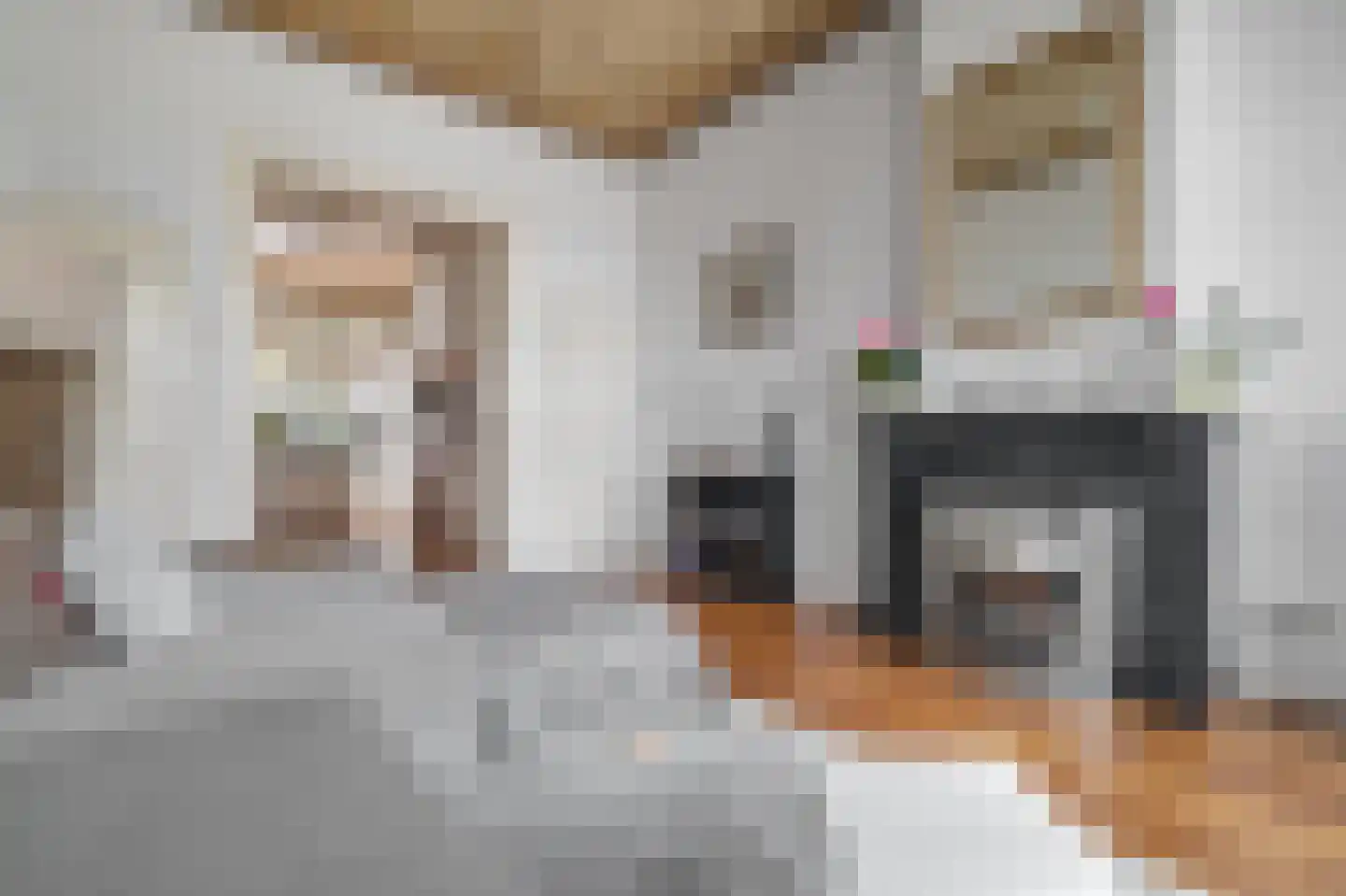 Koninginneweg 127 H Amsterdam thumbnail 6