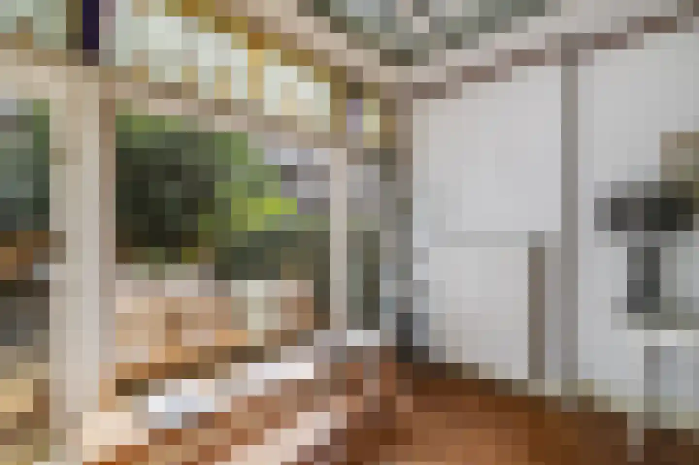 Koninginneweg 127 H Amsterdam thumbnail 9