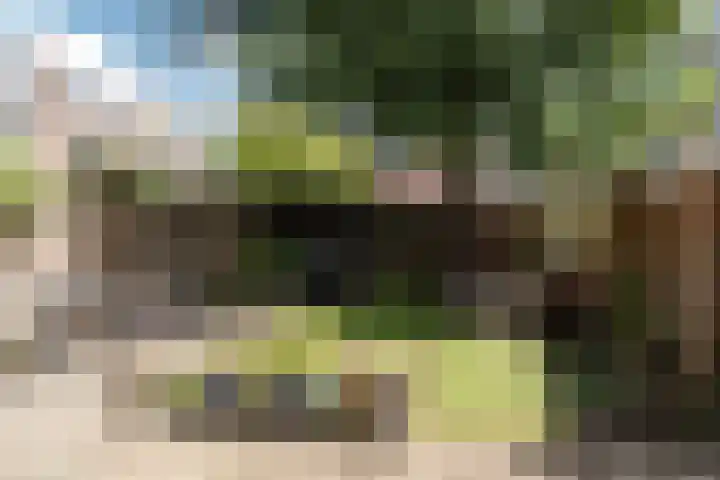 Koninginneweg 13 Haarlem thumbnail 19