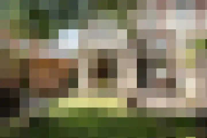 Koninginneweg 13 Haarlem thumbnail 20