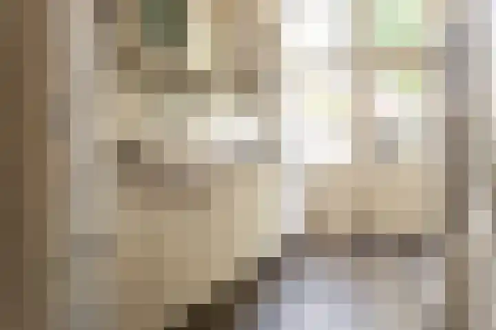 Koninginneweg 13 Haarlem thumbnail 22
