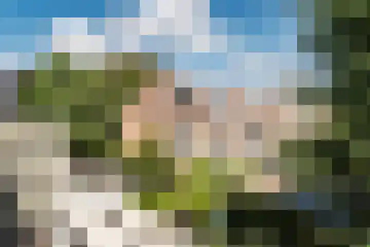 Koninginneweg 13 Haarlem thumbnail 30