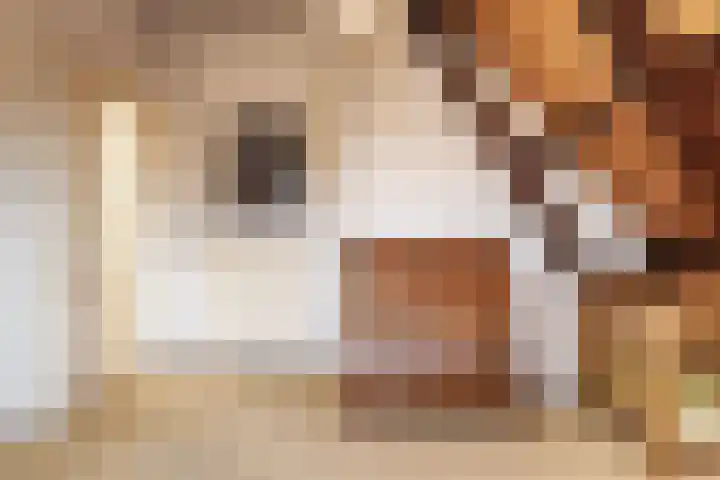 Koninginneweg 13 Haarlem thumbnail 44