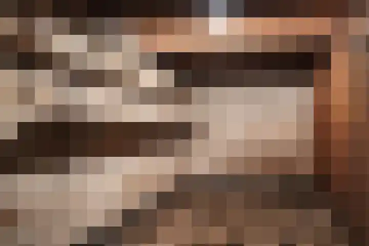 Koninginneweg 13 Haarlem thumbnail 45