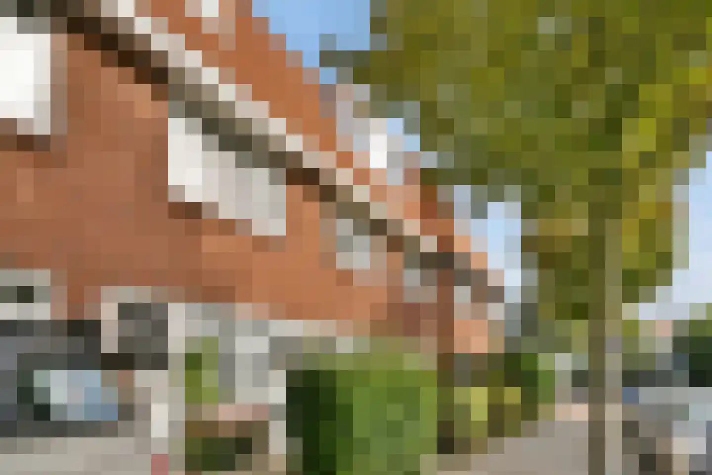 Koninginneweg 13 rd Zandvoort thumbnail 5