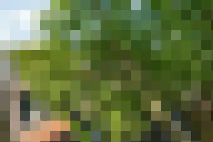 Koninginneweg 130 3V Amsterdam thumbnail 12