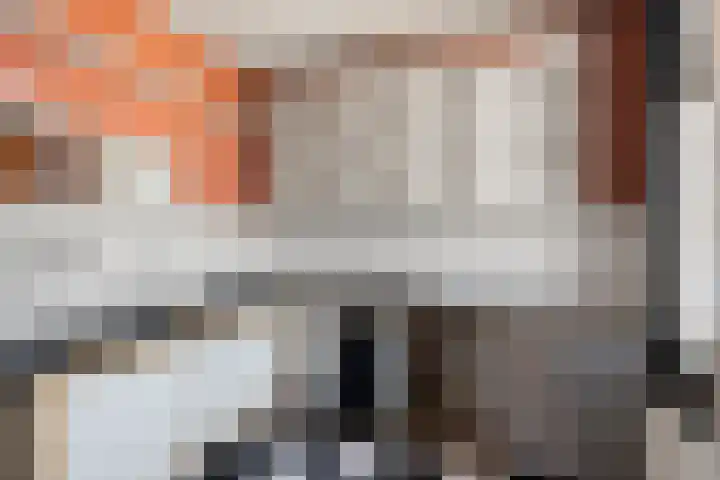 Koninginneweg 130 3V Amsterdam thumbnail 15