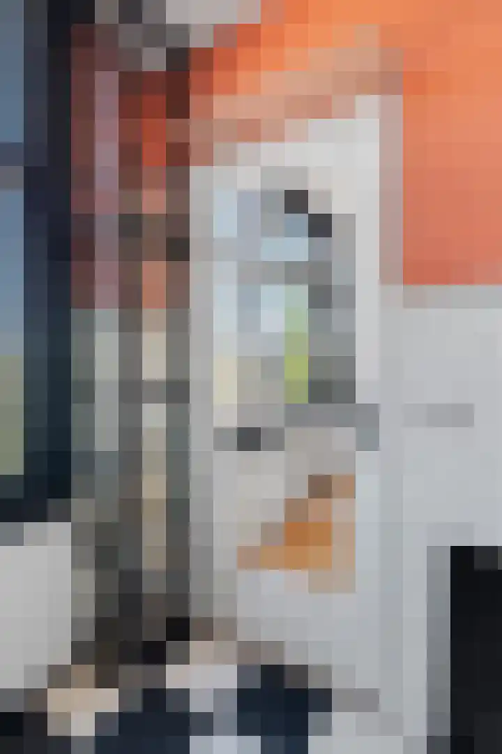Koninginneweg 130 3V Amsterdam thumbnail 17