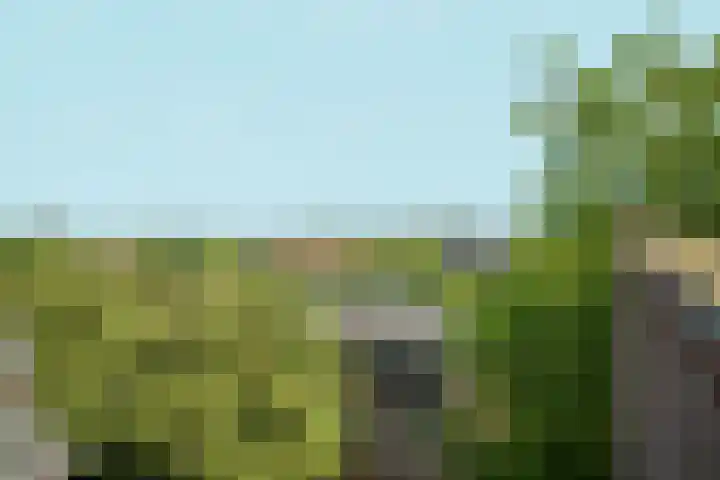 Koninginneweg 130 3V Amsterdam thumbnail 19